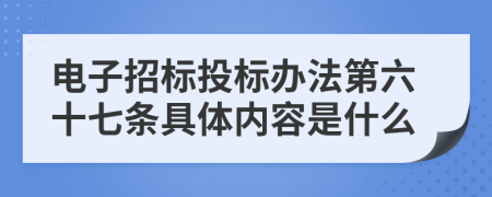 电子招标投标办法第六十七条具体内容是什么