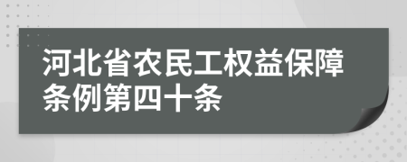 河北省农民工权益保障条例第四十条