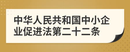 中华人民共和国中小企业促进法第二十二条