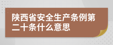 陕西省安全生产条例第二十条什么意思