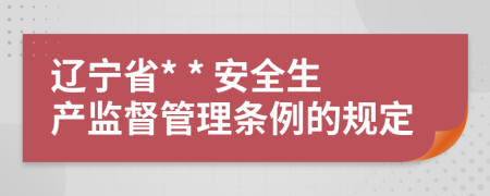 辽宁省* * 安全生产监督管理条例的规定