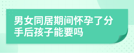 男女同居期间怀孕了分手后孩子能要吗