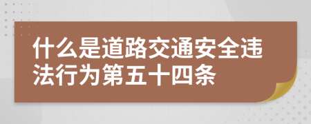 什么是道路交通安全违法行为第五十四条