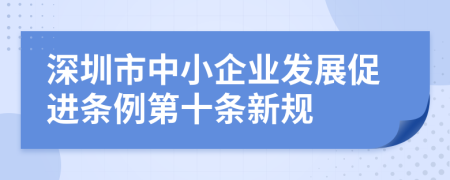 深圳市中小企业发展促进条例第十条新规