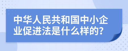 中华人民共和国中小企业促进法是什么样的？