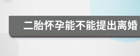 二胎怀孕能不能提出离婚