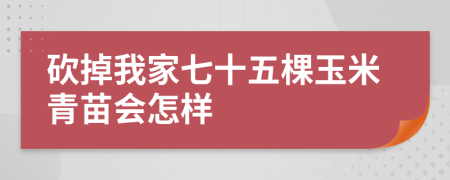 砍掉我家七十五棵玉米青苗会怎样