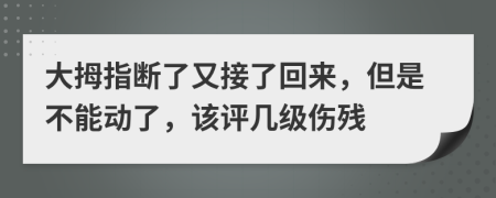 大拇指断了又接了回来，但是不能动了，该评几级伤残