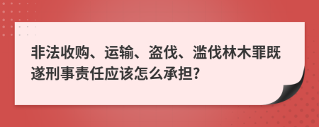 非法收购、运输、盗伐、滥伐林木罪既遂刑事责任应该怎么承担?