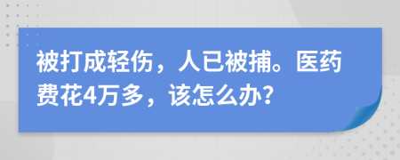 被打成轻伤，人已被捕。医药费花4万多，该怎么办？