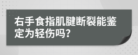 右手食指肌腱断裂能鉴定为轻伤吗？