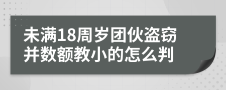 未满18周岁团伙盗窃并数额教小的怎么判