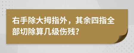 右手除大拇指外，其余四指全部切除算几级伤残？