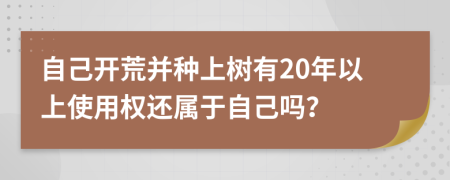 自己开荒并种上树有20年以上使用权还属于自己吗？