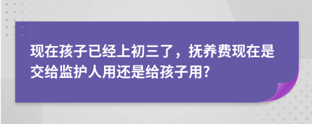 现在孩子已经上初三了，抚养费现在是交给监护人用还是给孩子用?