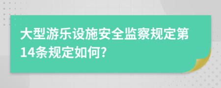 大型游乐设施安全监察规定第14条规定如何?