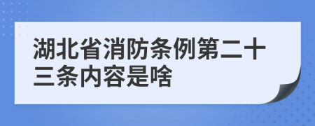 湖北省消防条例第二十三条内容是啥