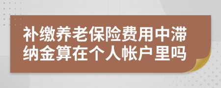 补缴养老保险费用中滞纳金算在个人帐户里吗