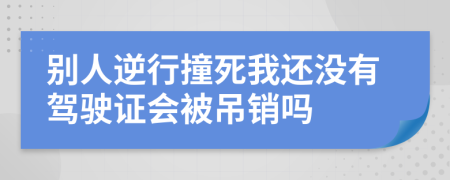 别人逆行撞死我还没有驾驶证会被吊销吗