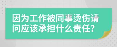 因为工作被同事烫伤请问应该承担什么责任？