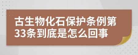 古生物化石保护条例第33条到底是怎么回事