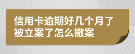 信用卡逾期好几个月了被立案了怎么撤案