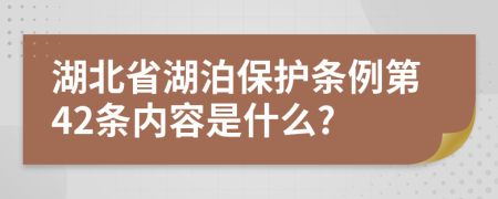 湖北省湖泊保护条例第42条内容是什么?