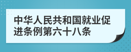 中华人民共和国就业促进条例第六十八条