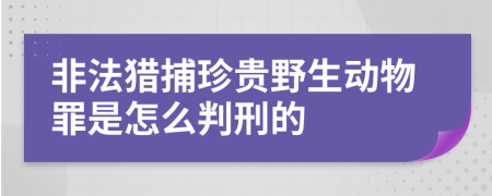 非法猎捕珍贵野生动物罪是怎么判刑的