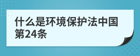 什么是环境保护法中国第24条