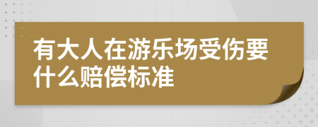 有大人在游乐场受伤要什么赔偿标准