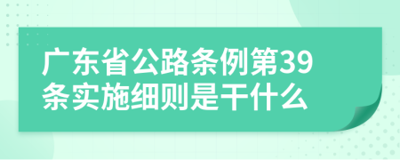 广东省公路条例第39条实施细则是干什么