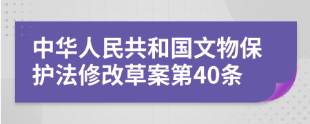 中华人民共和国文物保护法修改草案第40条