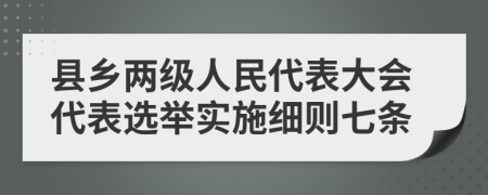 县乡两级人民代表大会代表选举实施细则七条