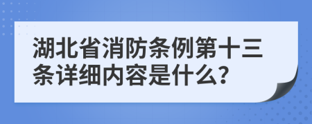 湖北省消防条例第十三条详细内容是什么？