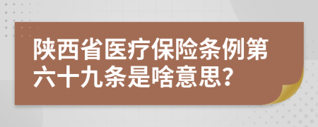 陕西省医疗保险条例第六十九条是啥意思？