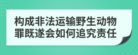 构成非法运输野生动物罪既遂会如何追究责任