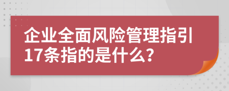 企业全面风险管理指引17条指的是什么？