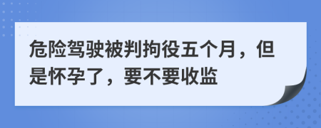 危险驾驶被判拘役五个月，但是怀孕了，要不要收监