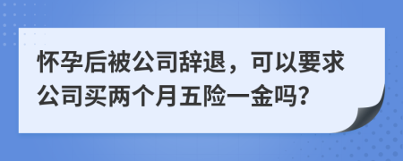 怀孕后被公司辞退，可以要求公司买两个月五险一金吗？