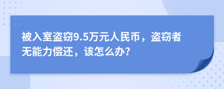 被入室盗窃9.5万元人民币，盗窃者无能力偿还，该怎么办？