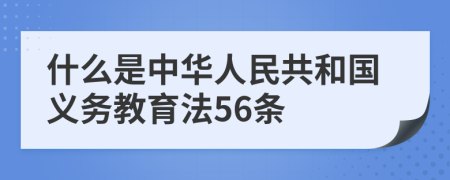 什么是中华人民共和国义务教育法56条