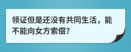 领证但是还没有共同生活，能不能向女方索偿？