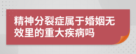 精神分裂症属于婚姻无效里的重大疾病吗