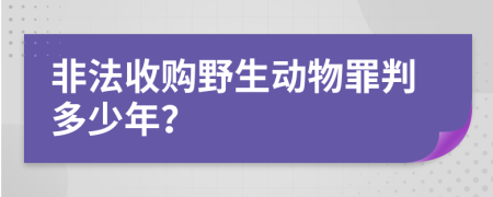 非法收购野生动物罪判多少年？