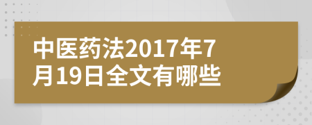 中医药法2017年7月19日全文有哪些