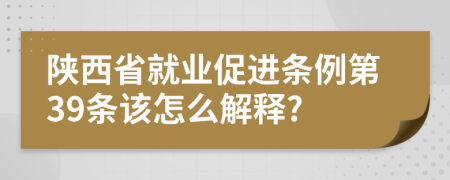陕西省就业促进条例第39条该怎么解释?