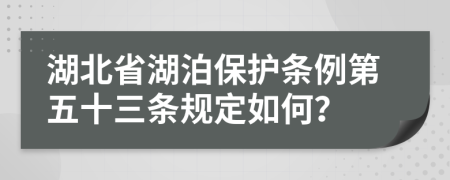 湖北省湖泊保护条例第五十三条规定如何？