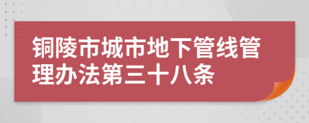 铜陵市城市地下管线管理办法第三十八条