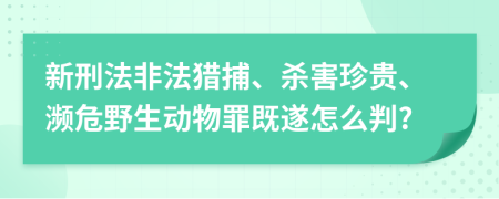 新刑法非法猎捕、杀害珍贵、濒危野生动物罪既遂怎么判?